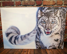  Snow Leopard on Canvas