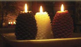 Beeswax Pinecones Burning bright