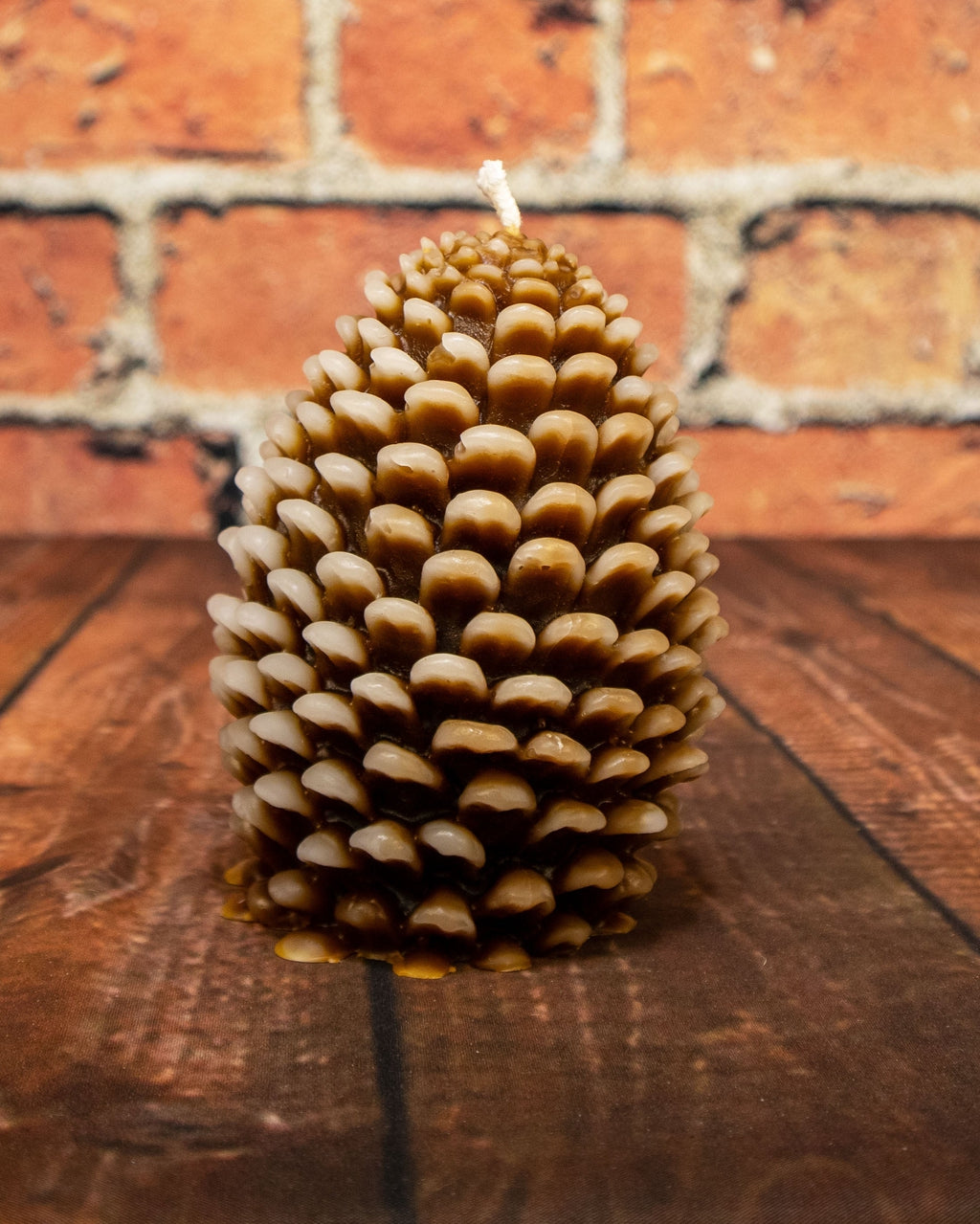 Frosted brown 100% Beeswax Pinecones