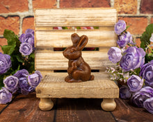  Chocolate Bunny